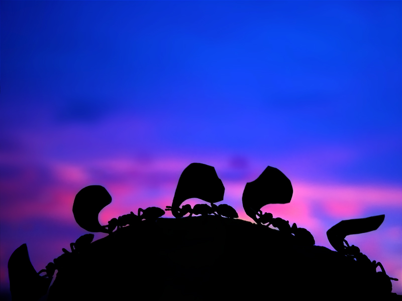<b>5th</b><br>Early Toil