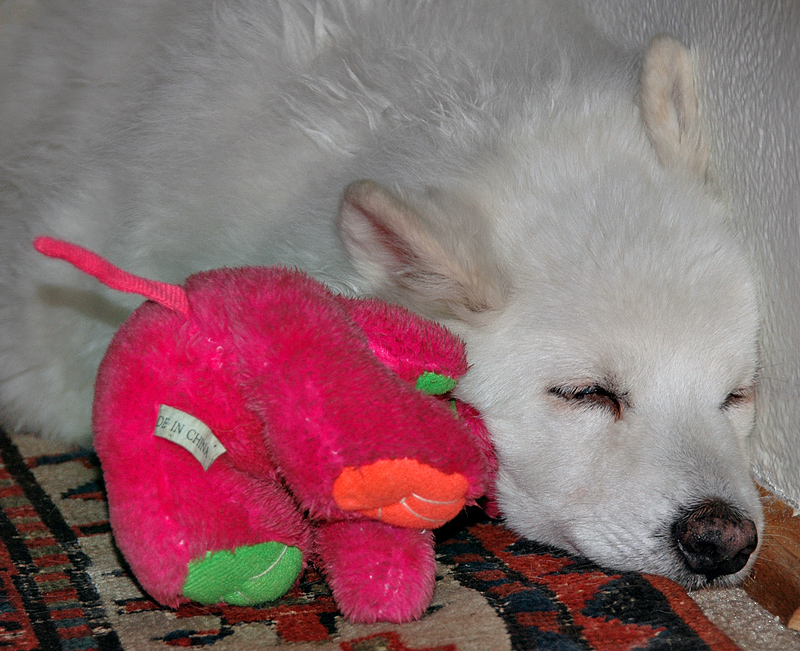 Sleeping Buds
