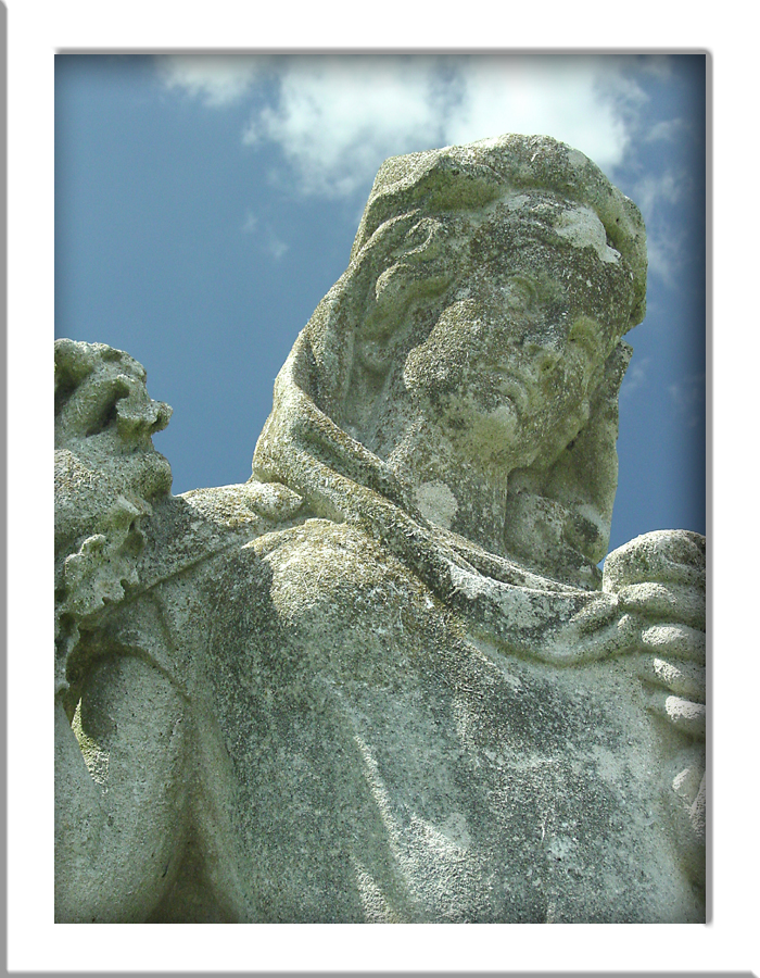 Fine Art<br><font size =1> by Photo Girl</font>