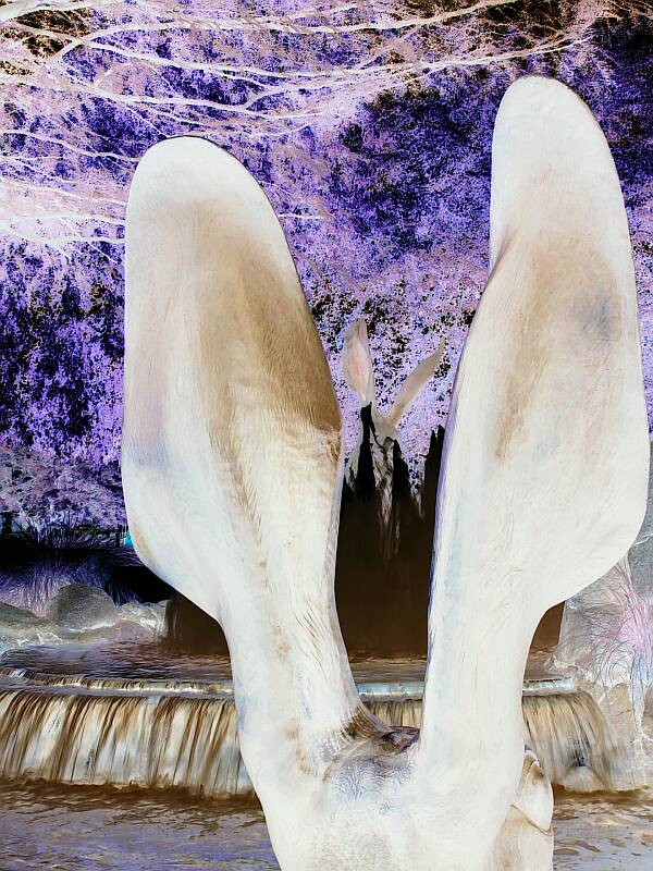 <b>Tempes Creepy Rabbits</b><br><font size=1>by Jim Cassidy</font>
