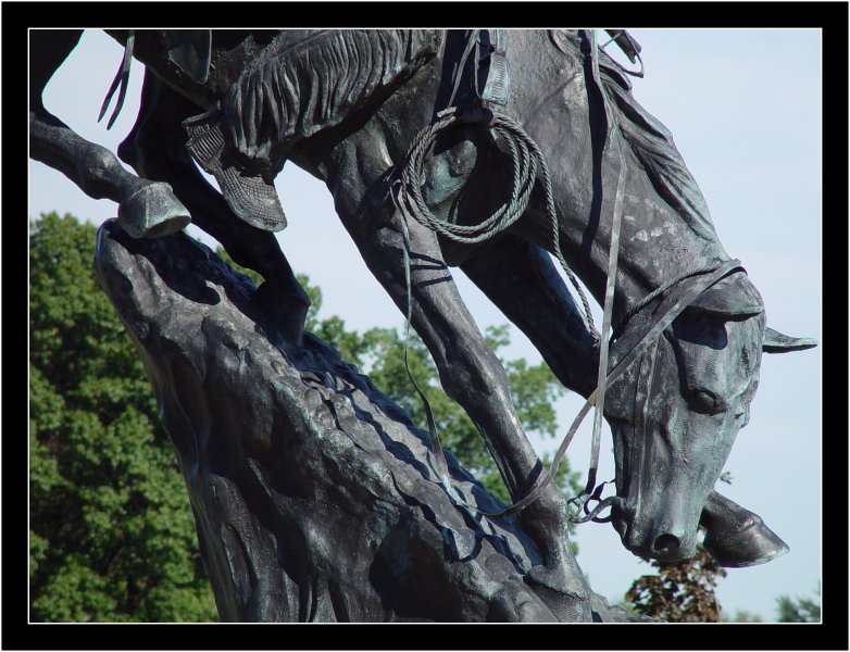 <b>Hang On!</b><br><font size=1>by Bev Brink</font>