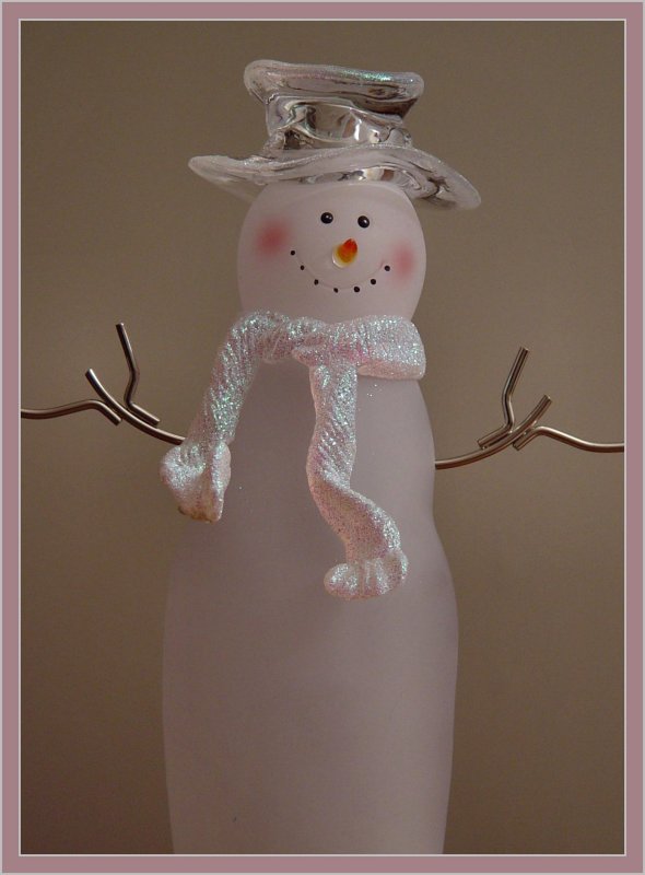 <b>Frosty</b><br><font size=1>by Bev Brink</font>