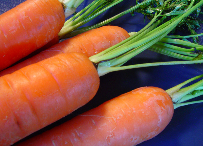 Carrots by Camera Slug