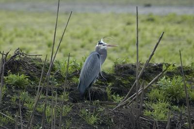 DSC_5939.JPG