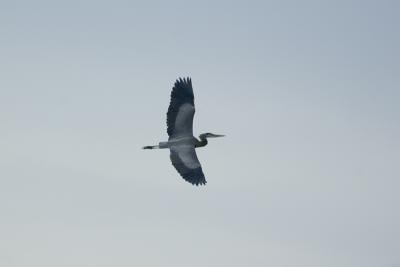 DSC_5944.JPG