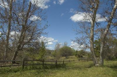 Sycamore Grove