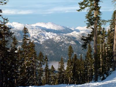 DSCF0985.jpg