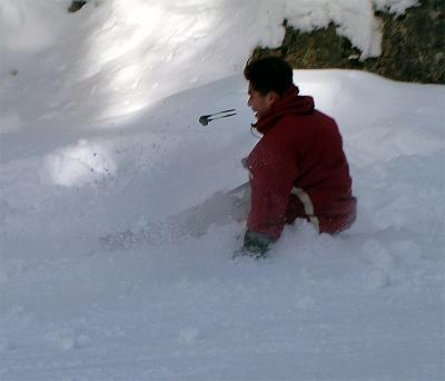 whistler