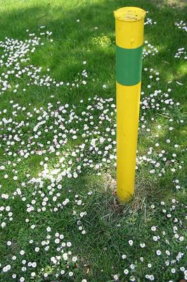 yellow pole in wonderland