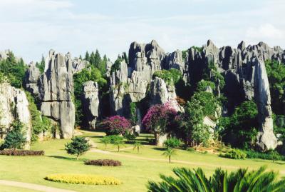 Stone Forest Park