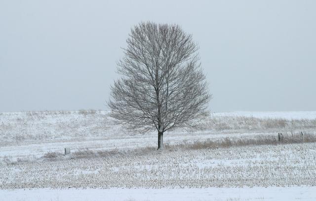 16--WinterPA.jpg