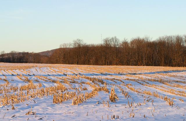 20--WinterPA.jpg