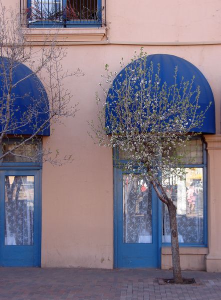 SantaFe08-img_0039-g6_std.jpg