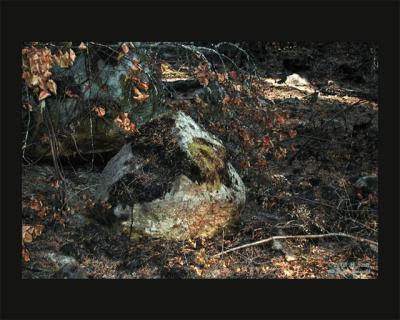 Lichen scorched to rock skulls