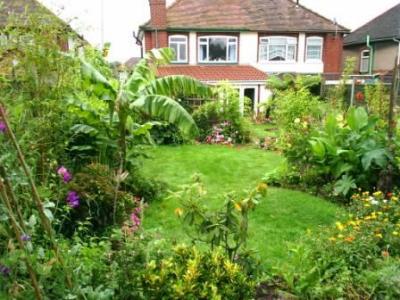 Rob Daniels Nuneaton garden (UK)