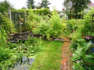 Pond area looking overgrown. Sept 04.JPG