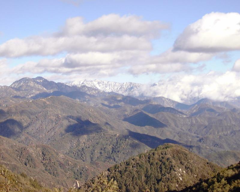 Vetter View