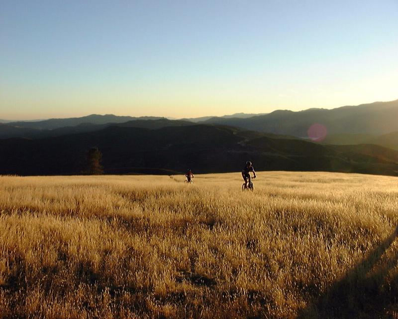 Grassland