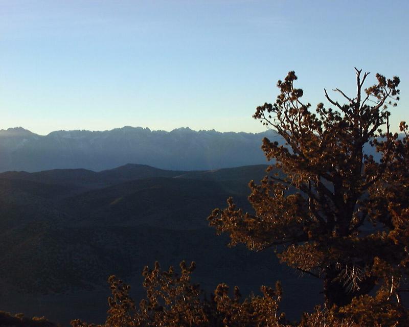 Sierra View