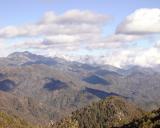 Vetter View