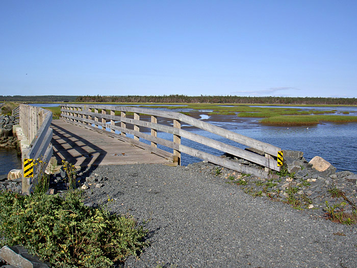 Salt Marsh.
