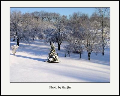 the morning after snow