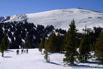 20486 - View of Timberline Lift