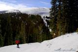 20731 - Skiing back down to Timberline lift