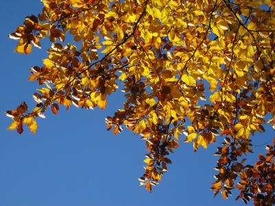 IMG_3050.JPG