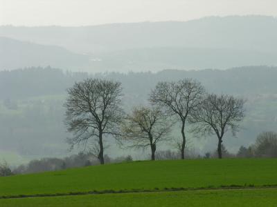 DSCN2997.JPG