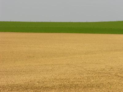 DSCN3039.JPG