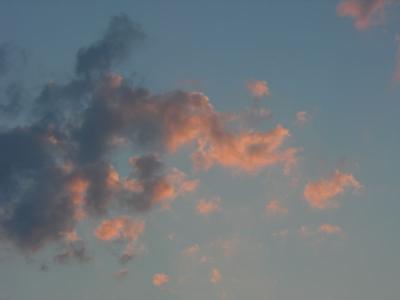 DSCN3067.JPG