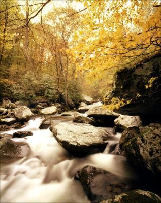 Smoky Mountains