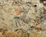 Big Horned Sheep Pictograph