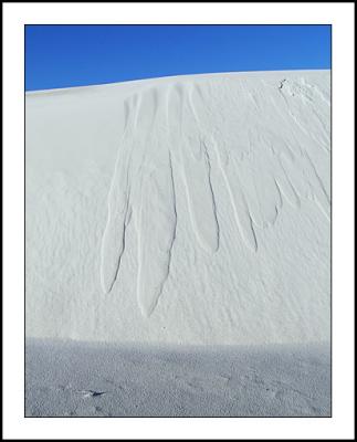 Footprints, White Sands NM