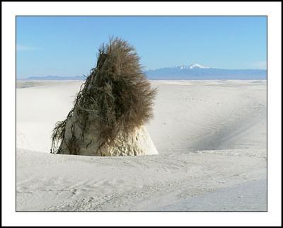 Pedestal, White Sands NM