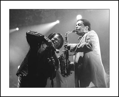 James Brown, Byron Bay Bluesfest, 2004