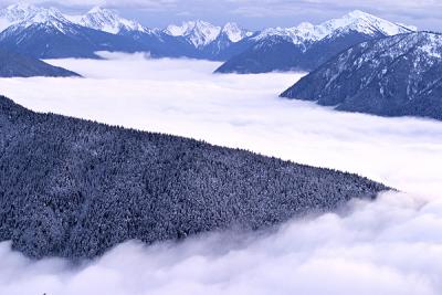 Half Day at Olympic National Park