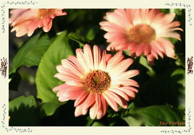 Clone of Clone of 137_3783frameatofx copy.jpg