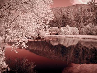 IR Reflection-2