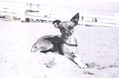 Teeny at Balboa Beach! Mid 1950's