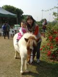 Yan Kis First Horse Riding