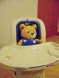 Teddy Bear Chair (24-1-2005)