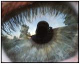 Eyeball Reflection