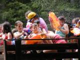 wet-hay-11.JPG