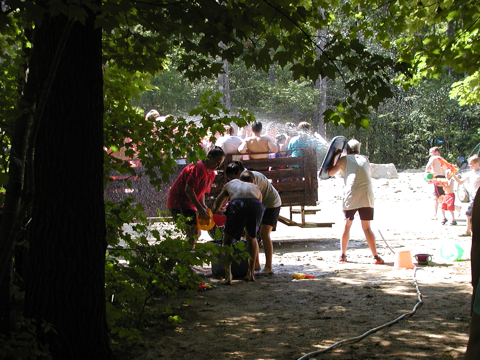 wet-hay-20.JPG