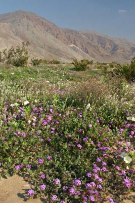 CRW_2274.jpg