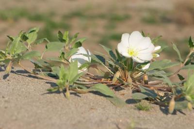 CRW_2319.jpg