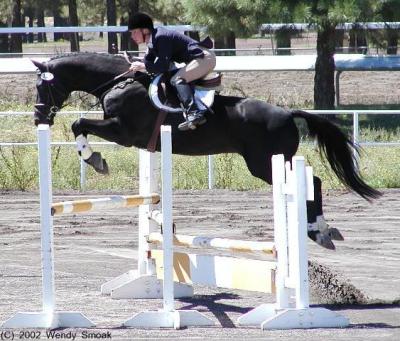 Horse Trial - Flagstaff AZ - September 2002