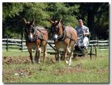 Getting The Earth Ready To Plant Rye